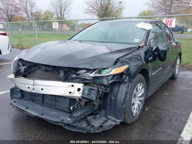 Photo 1 VIN: 4T1B31HK8KU005031 - TOYOTA CAMRY 