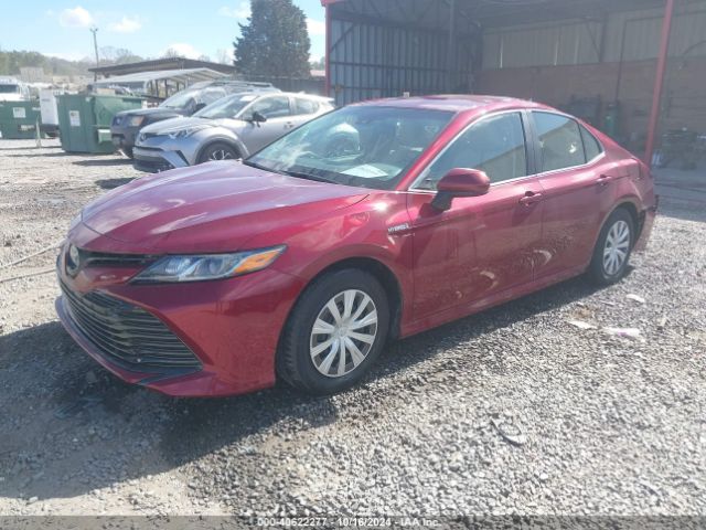 Photo 1 VIN: 4T1B31HK9JU503866 - TOYOTA CAMRY 