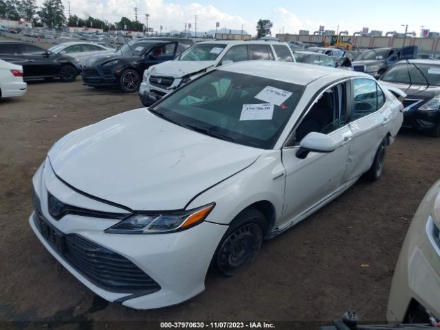 Photo 1 VIN: 4T1B31HKXJU004543 - TOYOTA CAMRY HYBRID 