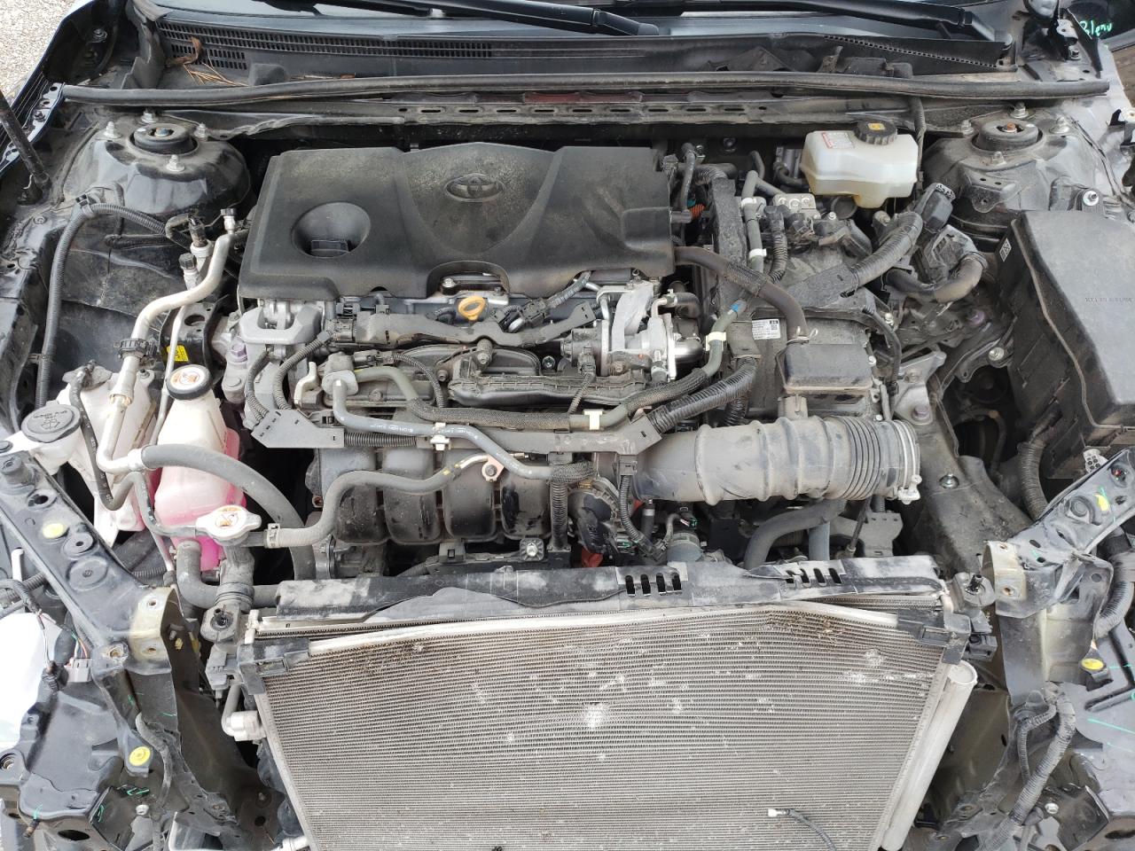 Photo 10 VIN: 4T1B31HKXKU511847 - TOYOTA CAMRY 