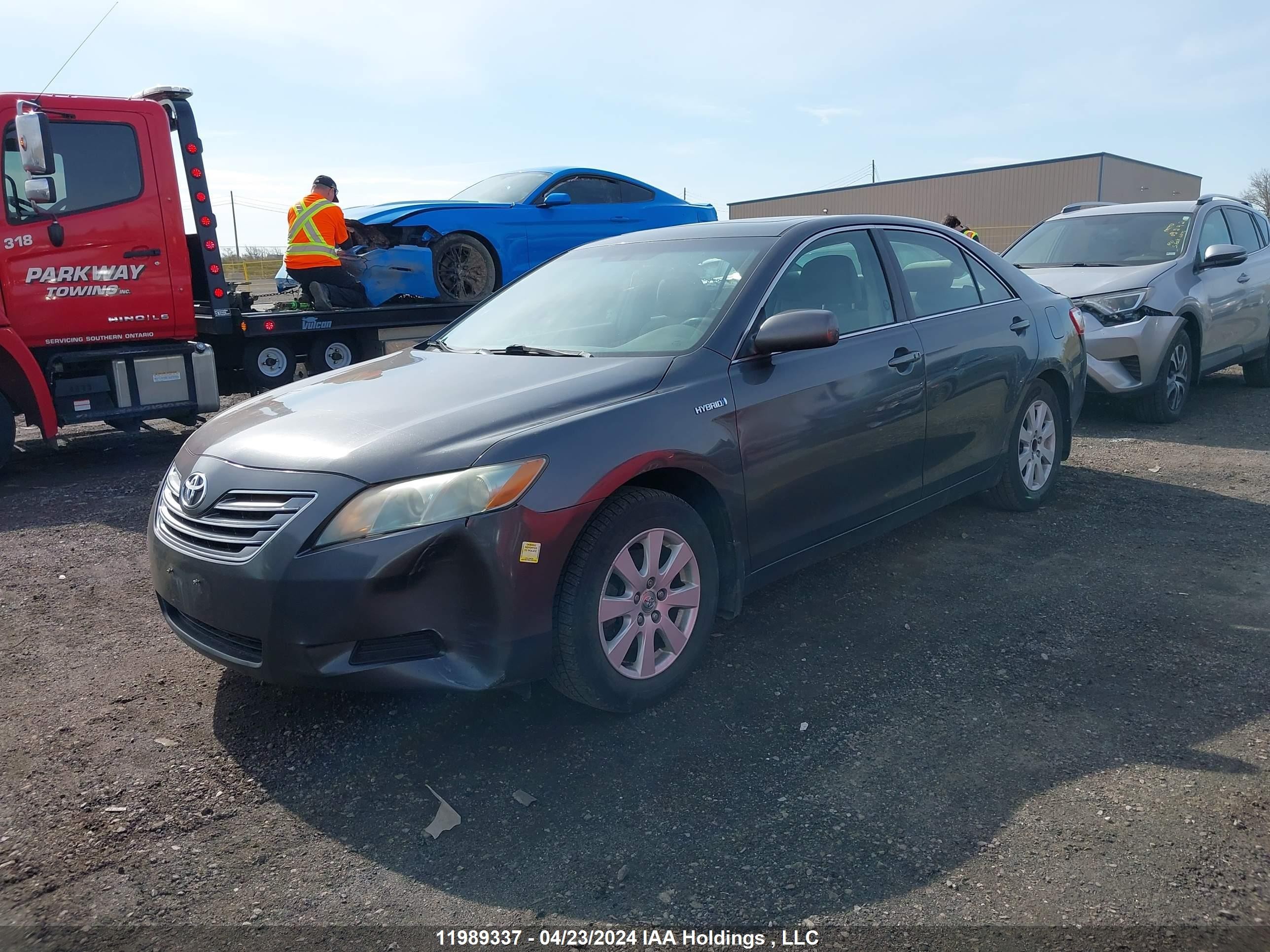 Photo 1 VIN: 4T1BB46K19U064603 - TOYOTA CAMRY 