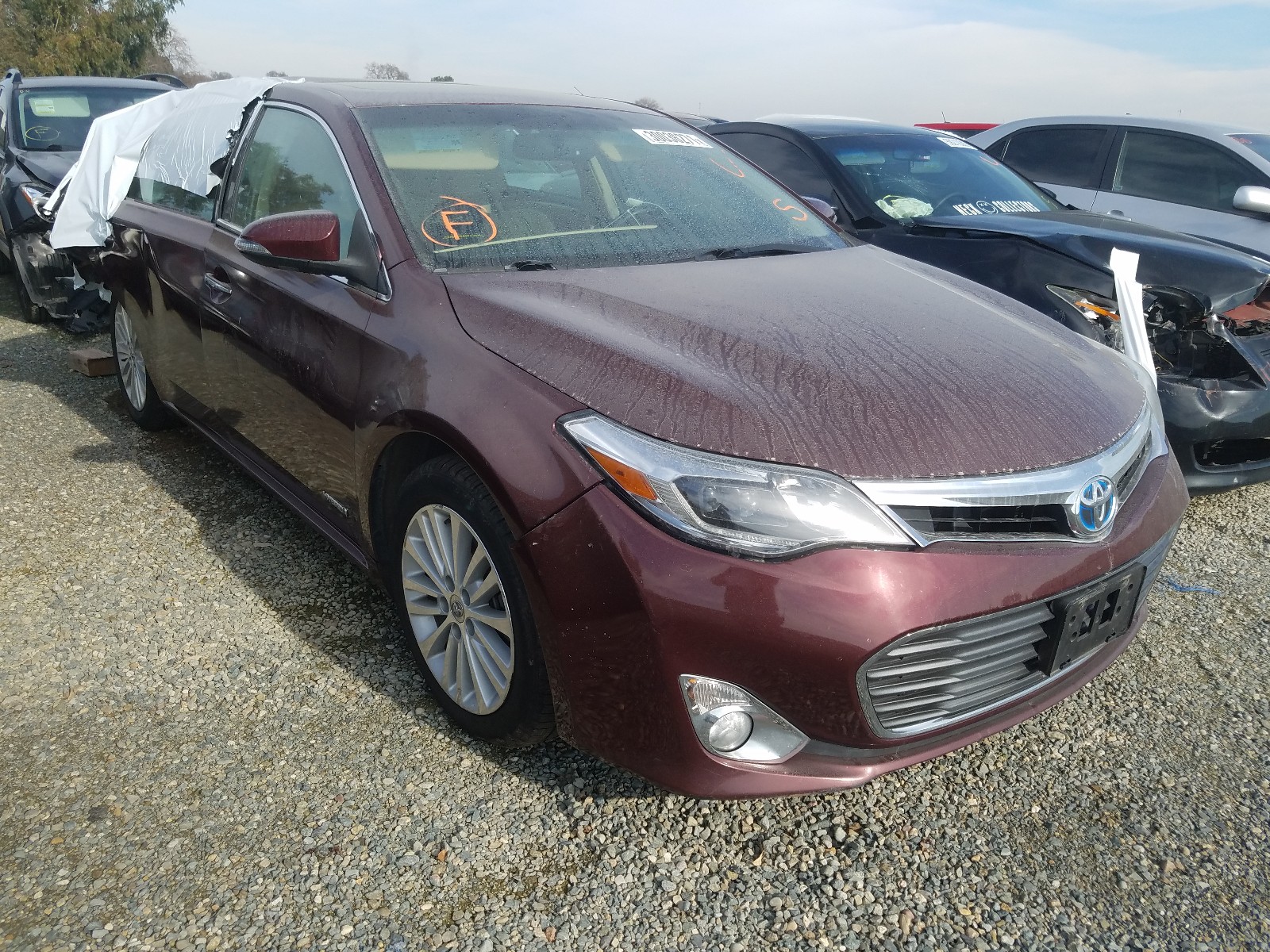 Photo 0 VIN: 4T1BD1EB4EU033804 - TOYOTA AVALON HYB 