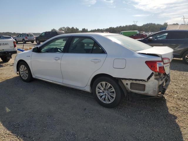 Photo 1 VIN: 4T1BD1FK0CU030846 - TOYOTA CAMRY 