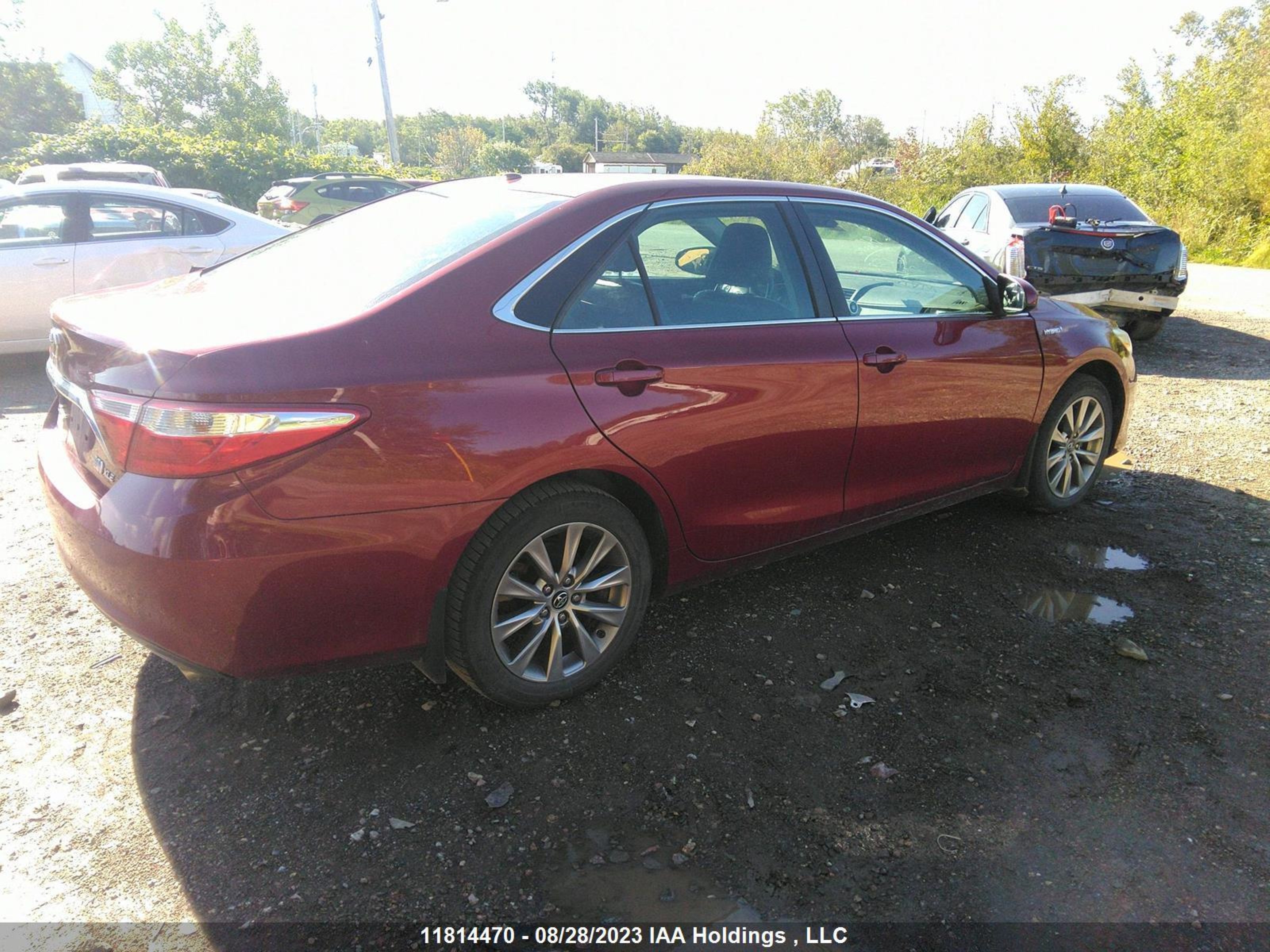 Photo 4 VIN: 4T1BD1FK7GU188493 - TOYOTA CAMRY 