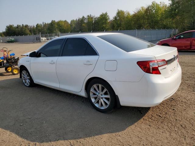 Photo 1 VIN: 4T1BD1FK8DU064700 - TOYOTA CAMRY HYBR 