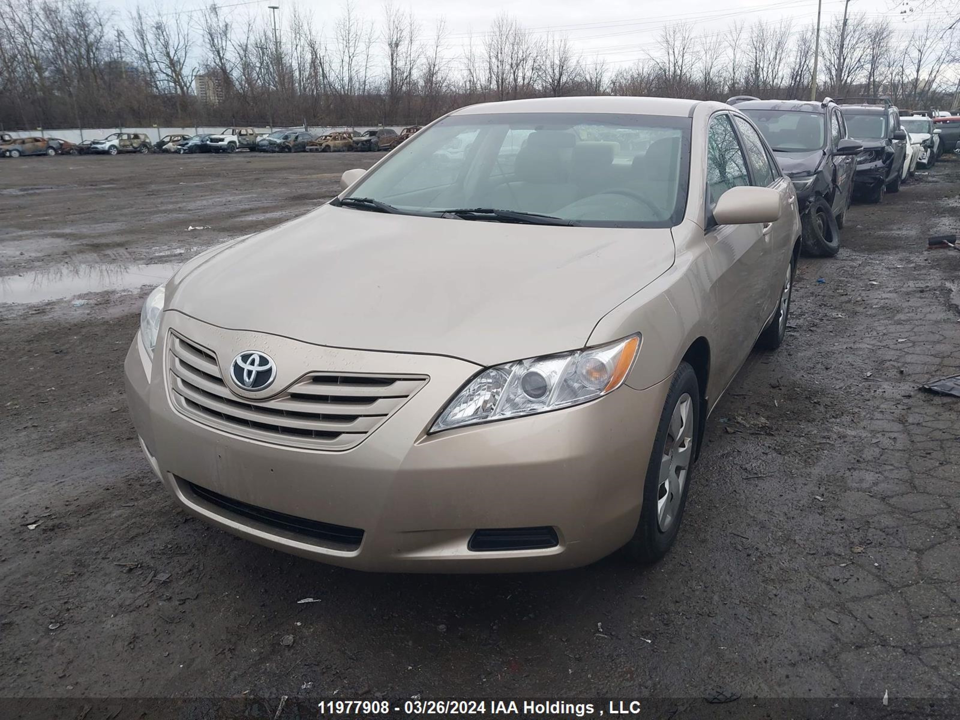 Photo 1 VIN: 4T1BE46K77U510497 - TOYOTA CAMRY 