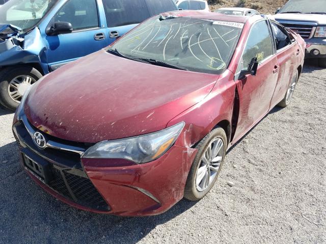 Photo 1 VIN: 4T1BF1FK0FU899445 - TOYOTA CAMRY LE 