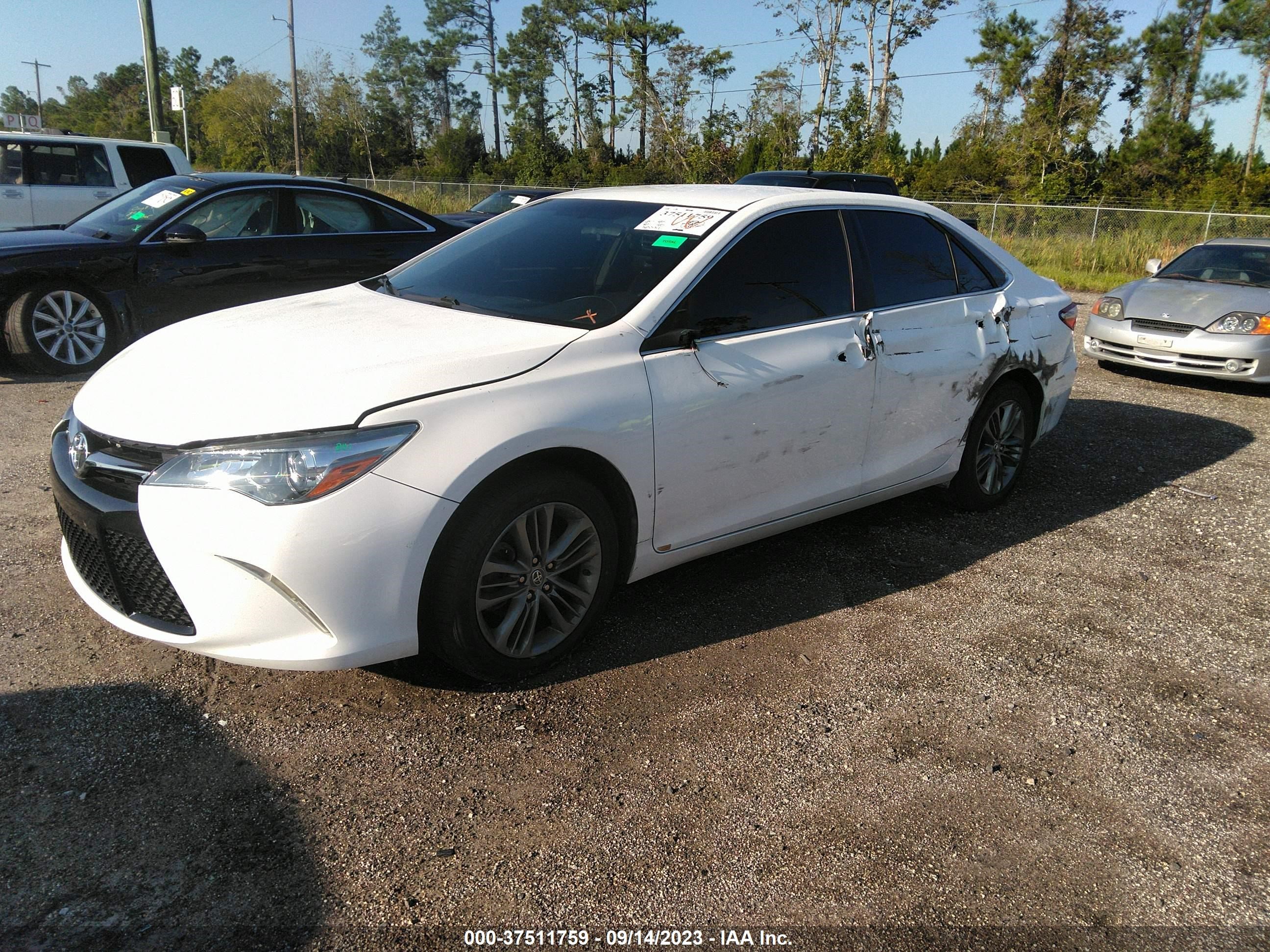 Photo 1 VIN: 4T1BF1FK0FU907804 - TOYOTA CAMRY 