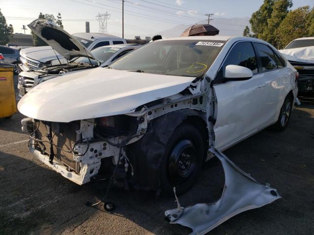 Photo 1 VIN: 4T1BF1FK0FU981644 - TOYOTA CAMRY LE 