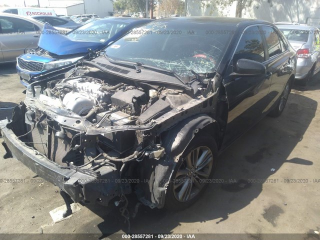 Photo 1 VIN: 4T1BF1FK0FU981823 - TOYOTA CAMRY 