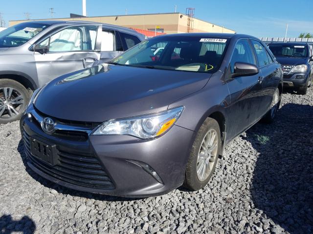 Photo 1 VIN: 4T1BF1FK1FU088642 - TOYOTA CAMRY LE 