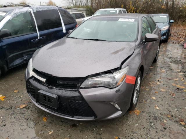 Photo 1 VIN: 4T1BF1FK1FU098975 - TOYOTA CAMRY LE 