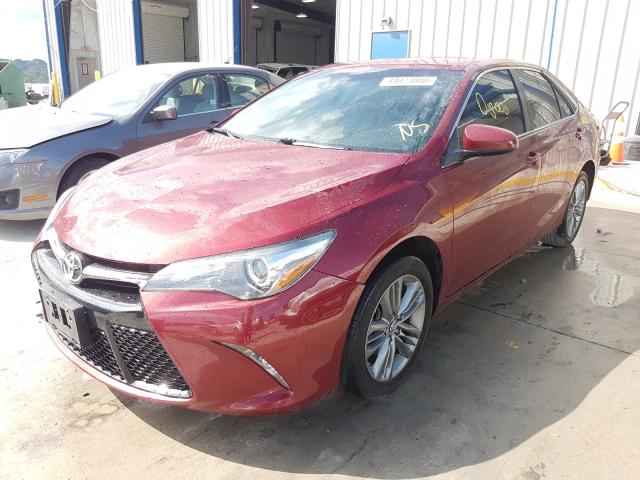 Photo 1 VIN: 4T1BF1FK1FU932808 - TOYOTA CAMRY LE 