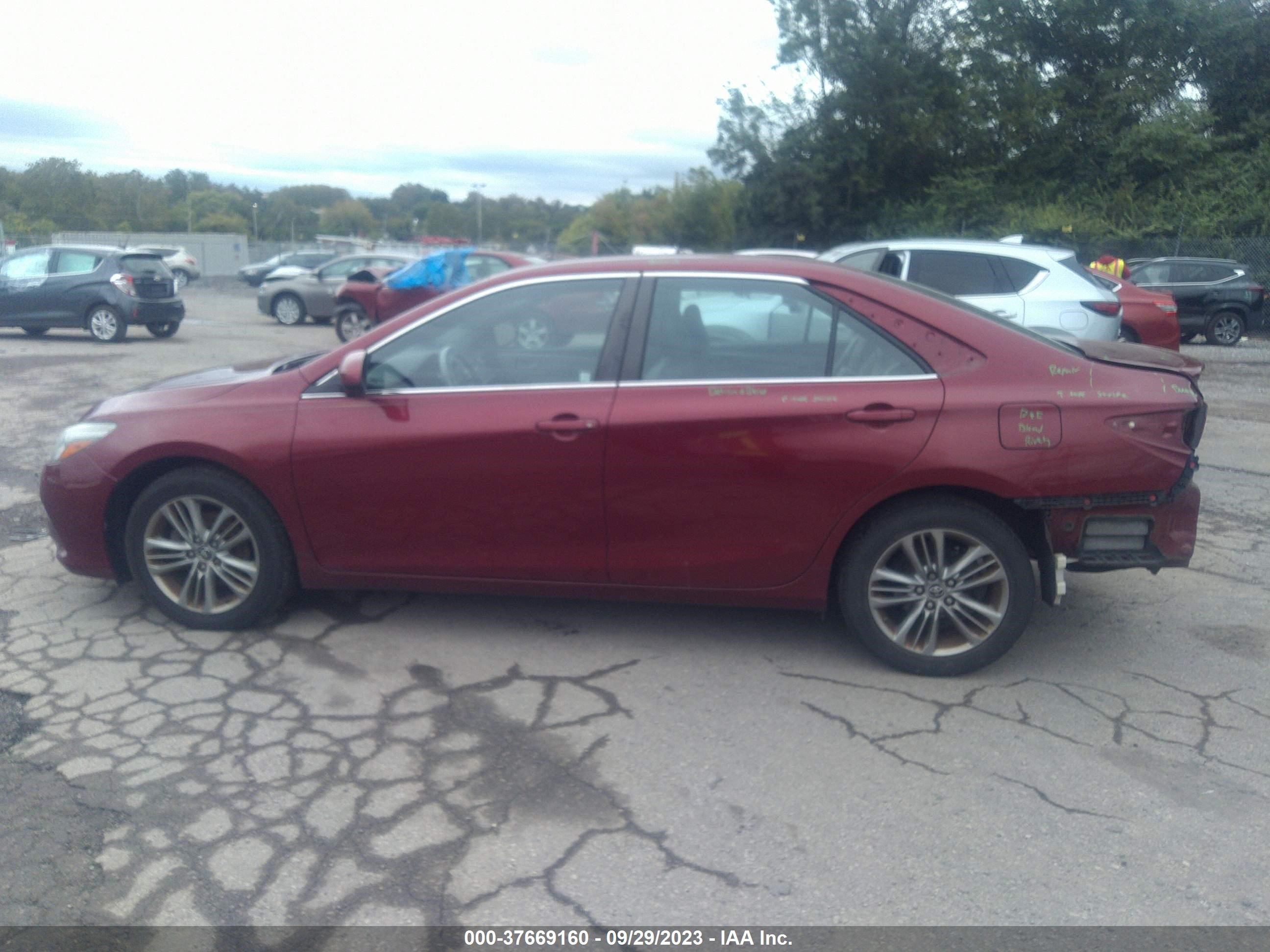 Photo 13 VIN: 4T1BF1FK1GU510779 - TOYOTA CAMRY 