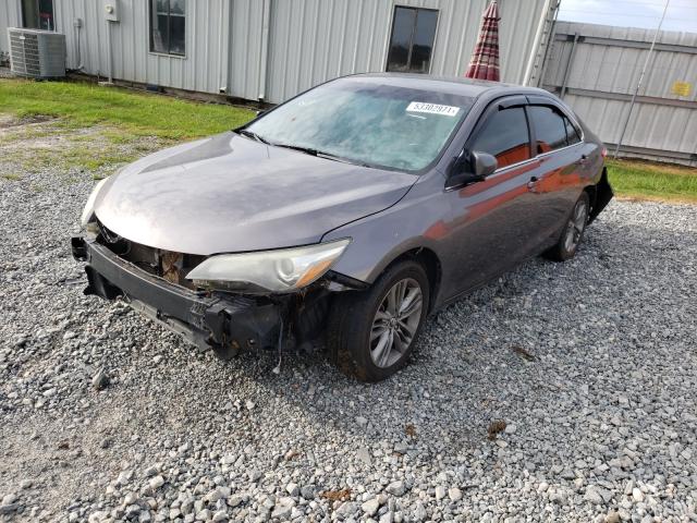 Photo 1 VIN: 4T1BF1FK3GU159454 - TOYOTA CAMRY LE 