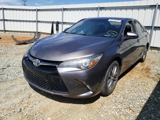 Photo 1 VIN: 4T1BF1FK3GU219300 - TOYOTA CAMRY LE 