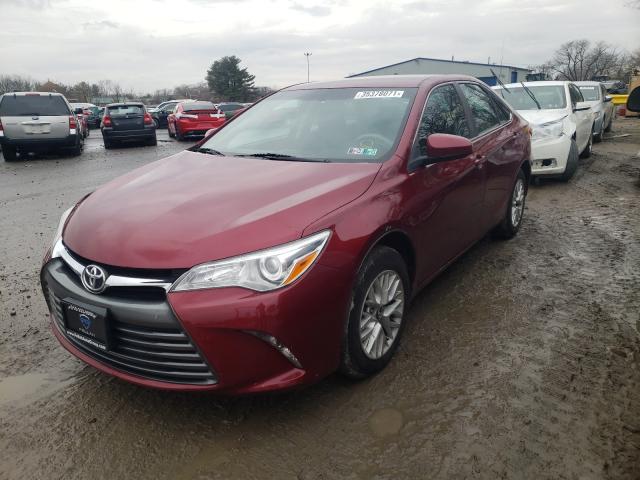 Photo 1 VIN: 4T1BF1FK3GU590764 - TOYOTA CAMRY LE 