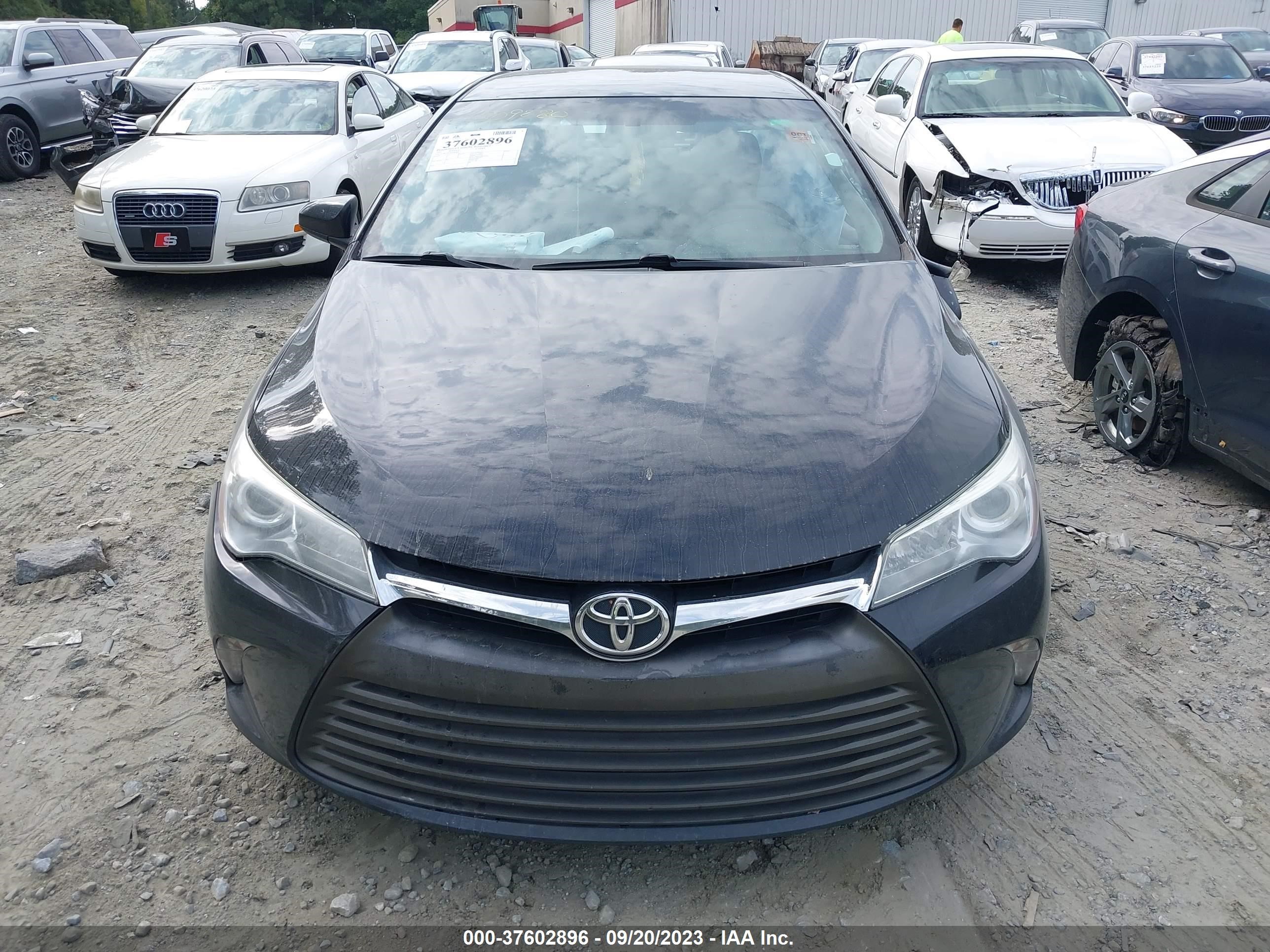 Photo 11 VIN: 4T1BF1FK3GU610009 - TOYOTA CAMRY 