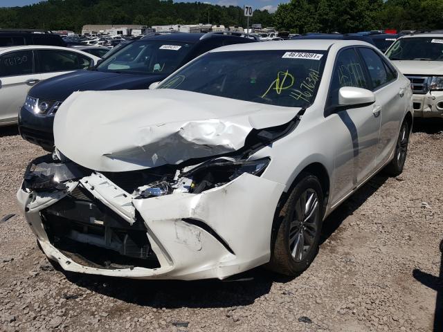 Photo 1 VIN: 4T1BF1FK5GU256591 - TOYOTA CAMRY LE 