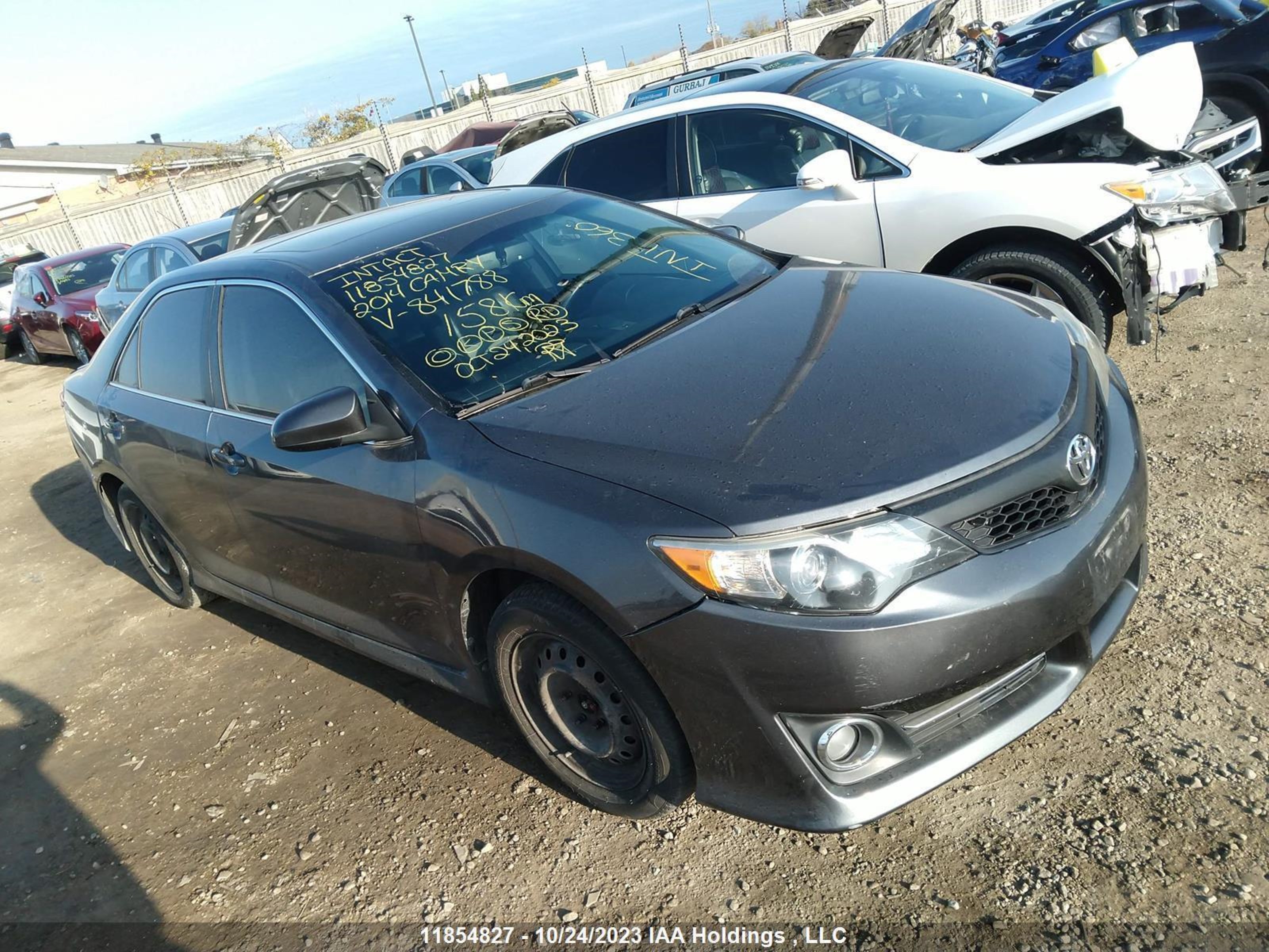 Photo 0 VIN: 4T1BF1FK6EU841788 - TOYOTA CAMRY 