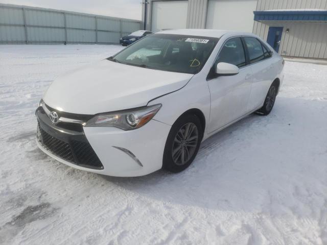 Photo 1 VIN: 4T1BF1FK6FU008736 - TOYOTA CAMRY LE 