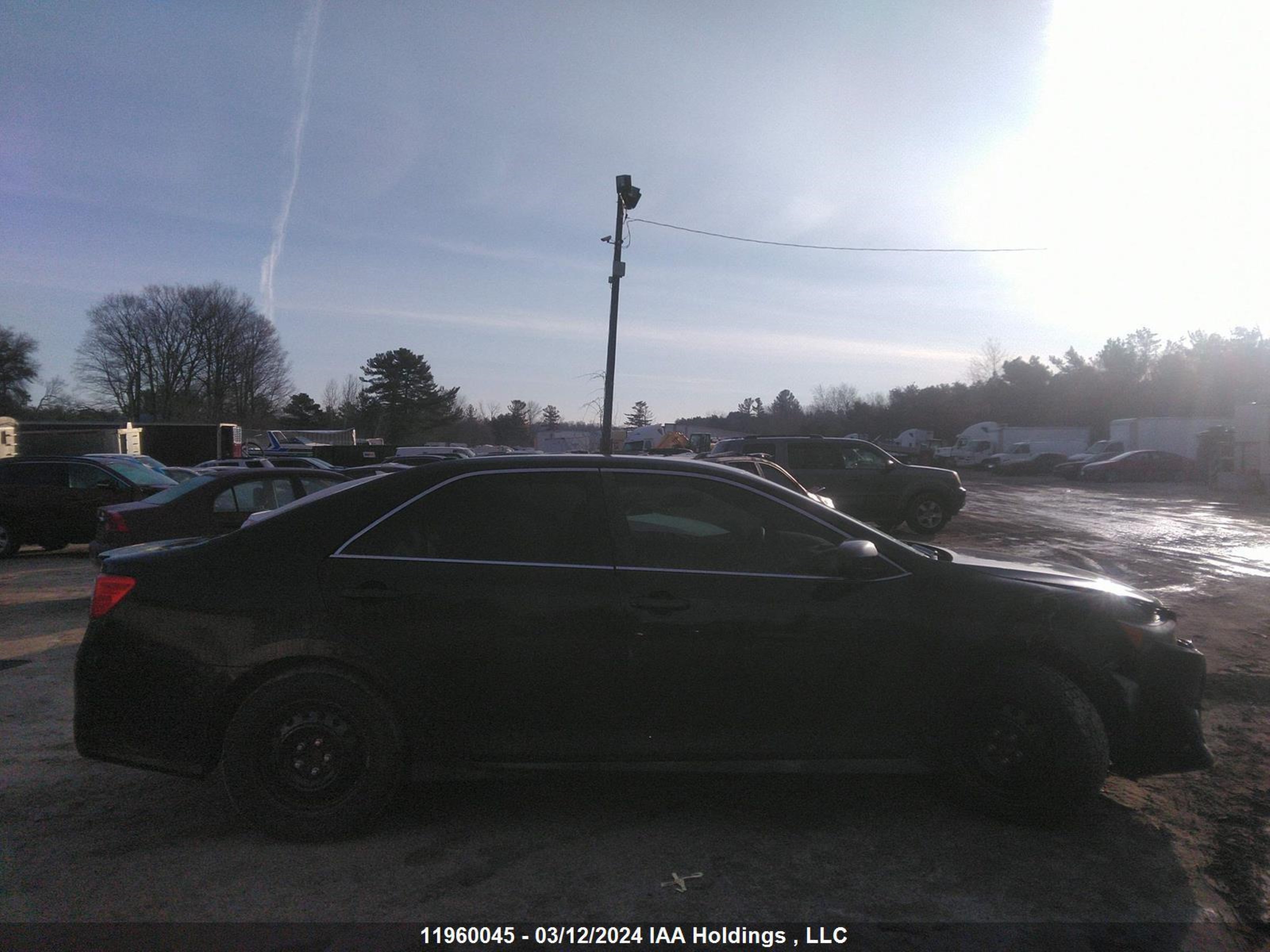 Photo 12 VIN: 4T1BF1FK7CU168801 - TOYOTA CAMRY 