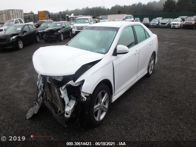 Photo 2 VIN: 4T1BF1FK7EU354504 - TOYOTA CAMRY 