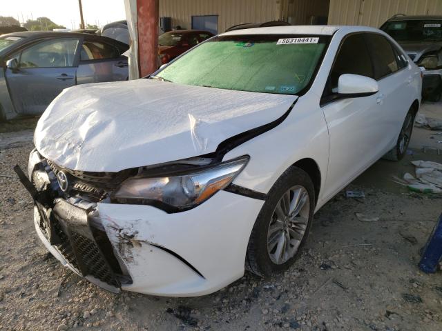 Photo 1 VIN: 4T1BF1FK7GU252591 - TOYOTA CAMRY LE 