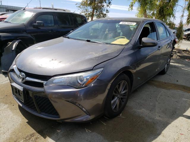 Photo 1 VIN: 4T1BF1FK7GU590251 - TOYOTA CAMRY LE 