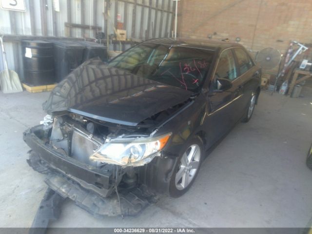 Photo 1 VIN: 4T1BF1FK8EU310253 - TOYOTA CAMRY 