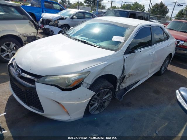 Photo 1 VIN: 4T1BF1FK8FU894008 - TOYOTA CAMRY 