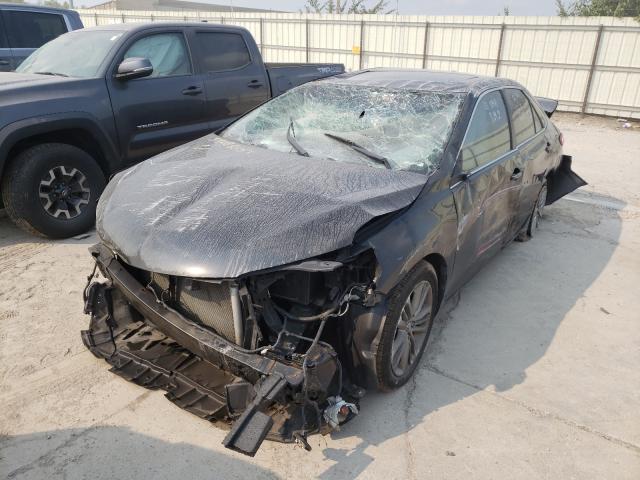 Photo 1 VIN: 4T1BF1FK8GU118124 - TOYOTA CAMRY LE 