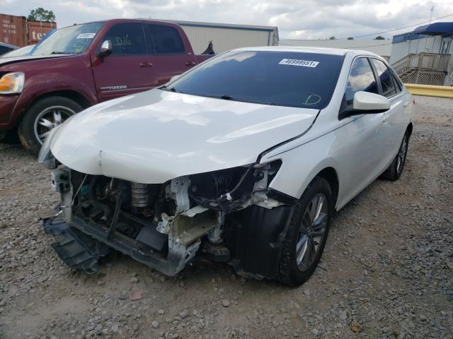 Photo 1 VIN: 4T1BF1FK8GU175200 - TOYOTA CAMRY LE 