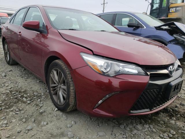 Photo 0 VIN: 4T1BF1FK8GU599394 - TOYOTA CAMRY LE 