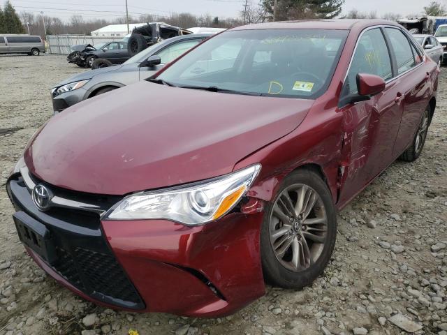 Photo 1 VIN: 4T1BF1FK8GU599394 - TOYOTA CAMRY LE 