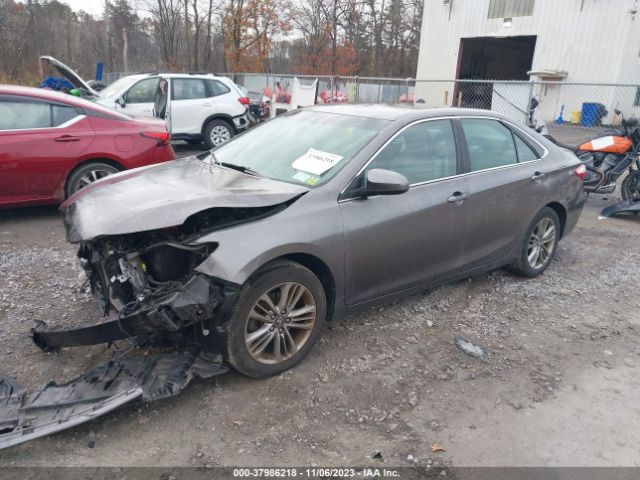 Photo 1 VIN: 4T1BF1FK8HU782294 - TOYOTA CAMRY 