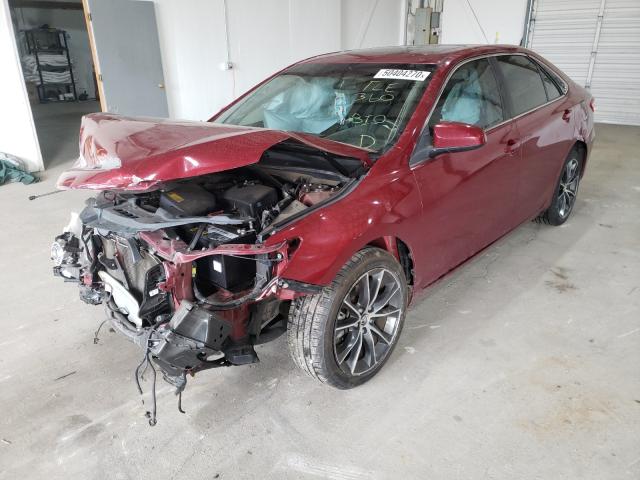 Photo 1 VIN: 4T1BF1FK9FU954443 - TOYOTA CAMRY LE 