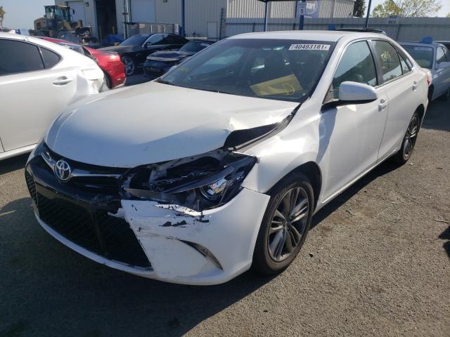 Photo 1 VIN: 4T1BF1FK9GU257159 - TOYOTA CAMRY 