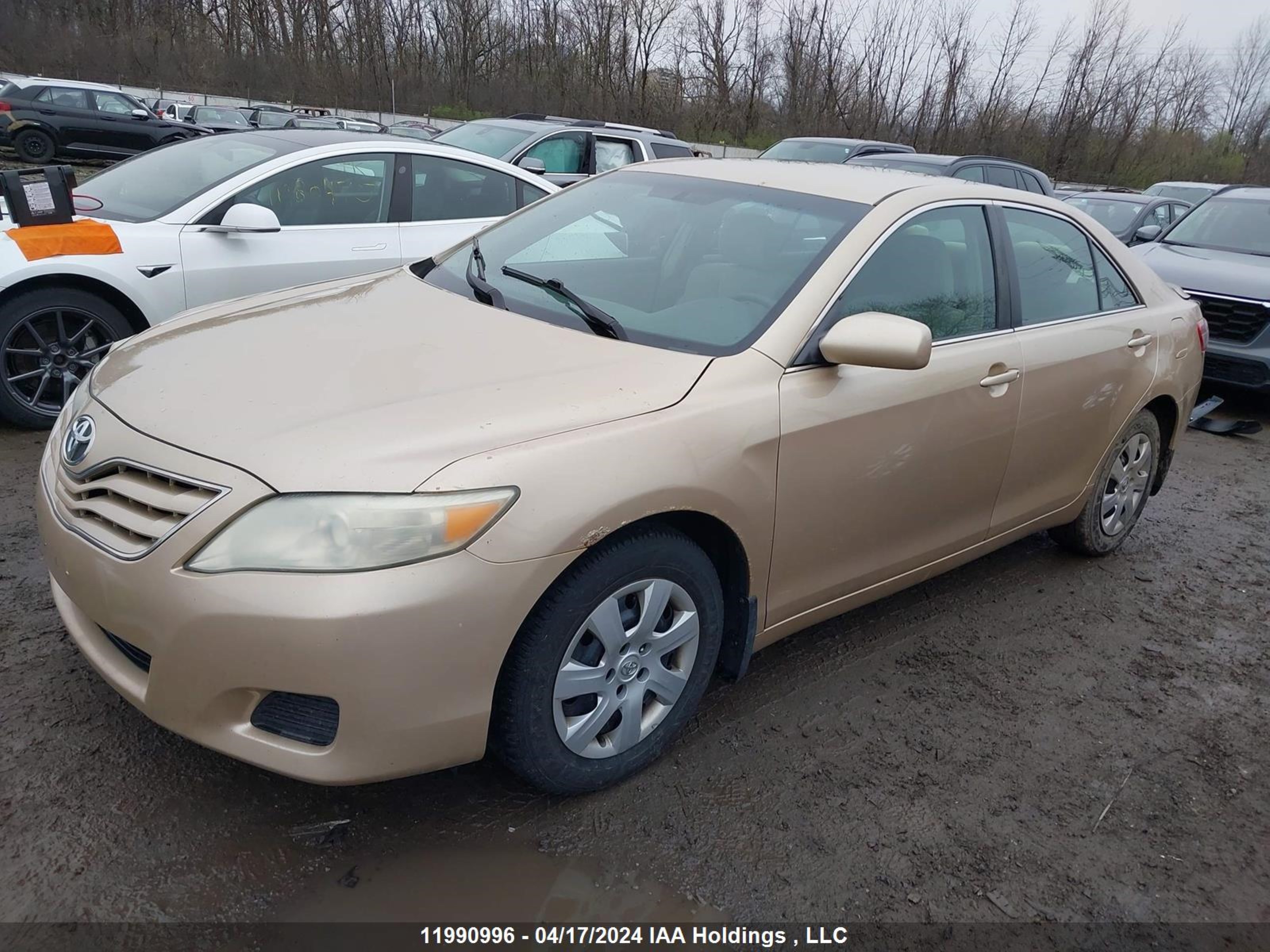 Photo 1 VIN: 4T1BF3EKXAU503785 - TOYOTA CAMRY 