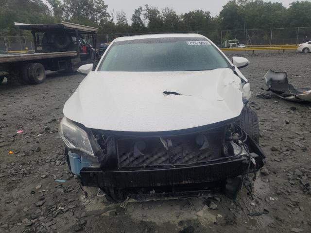 Photo 4 VIN: 4T1BK1EB0EU092306 - TOYOTA AVALON BAS 