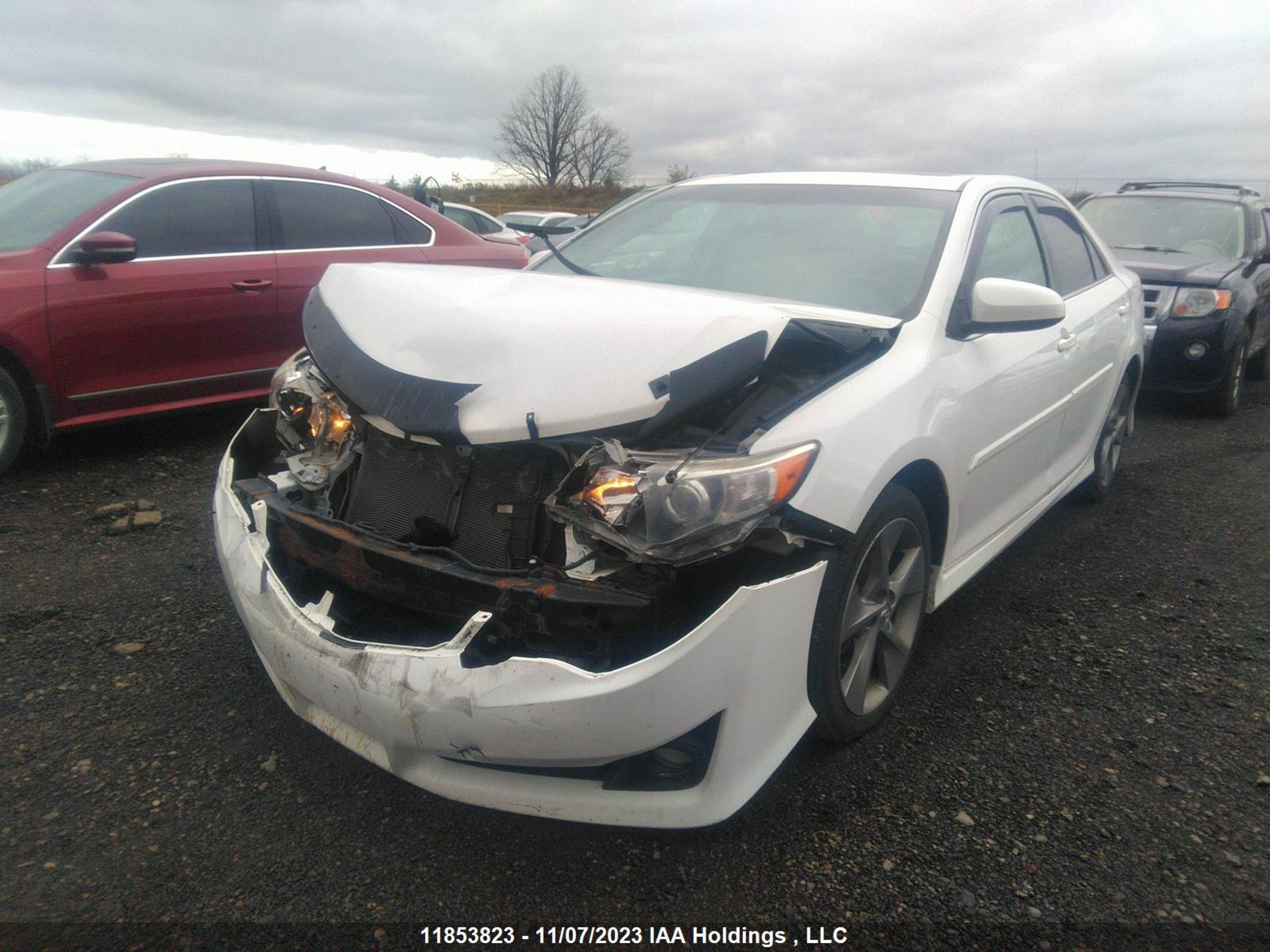 Photo 1 VIN: 4T1BK1FK7EU025555 - TOYOTA CAMRY 