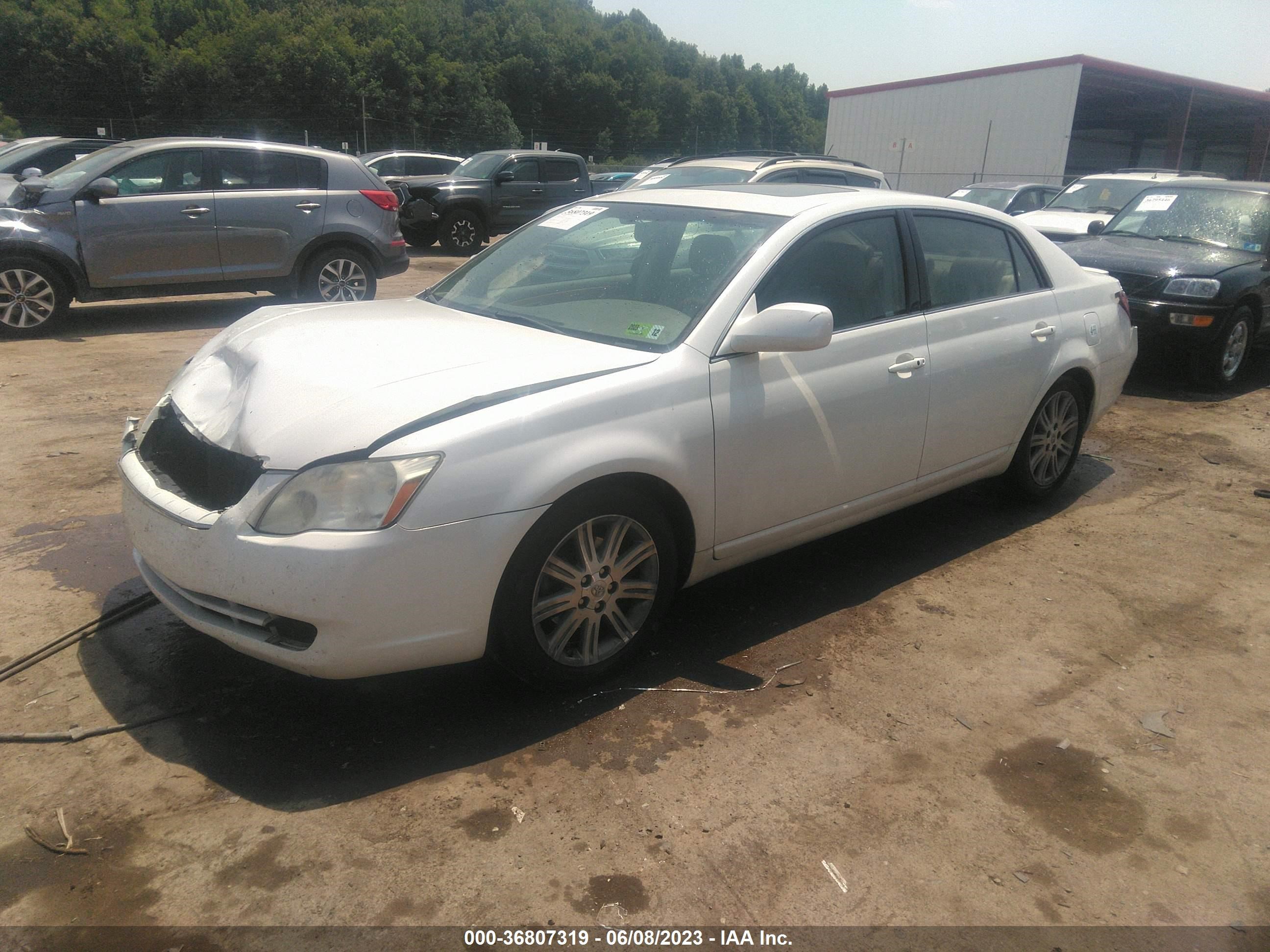 Photo 1 VIN: 4T1BK36B77U251769 - TOYOTA AVALON 