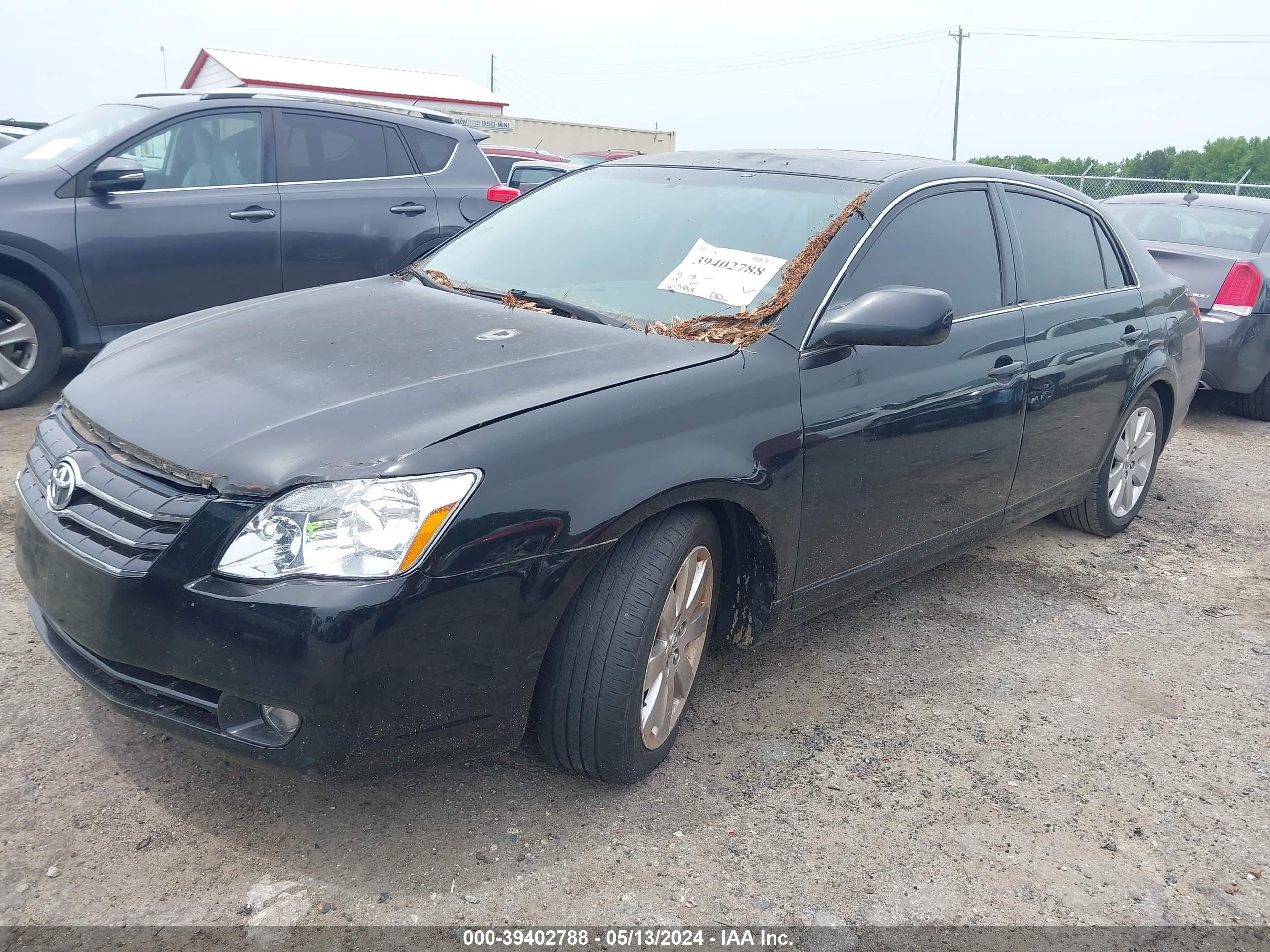 Photo 1 VIN: 4T1BK36B85U059631 - TOYOTA AVALON 