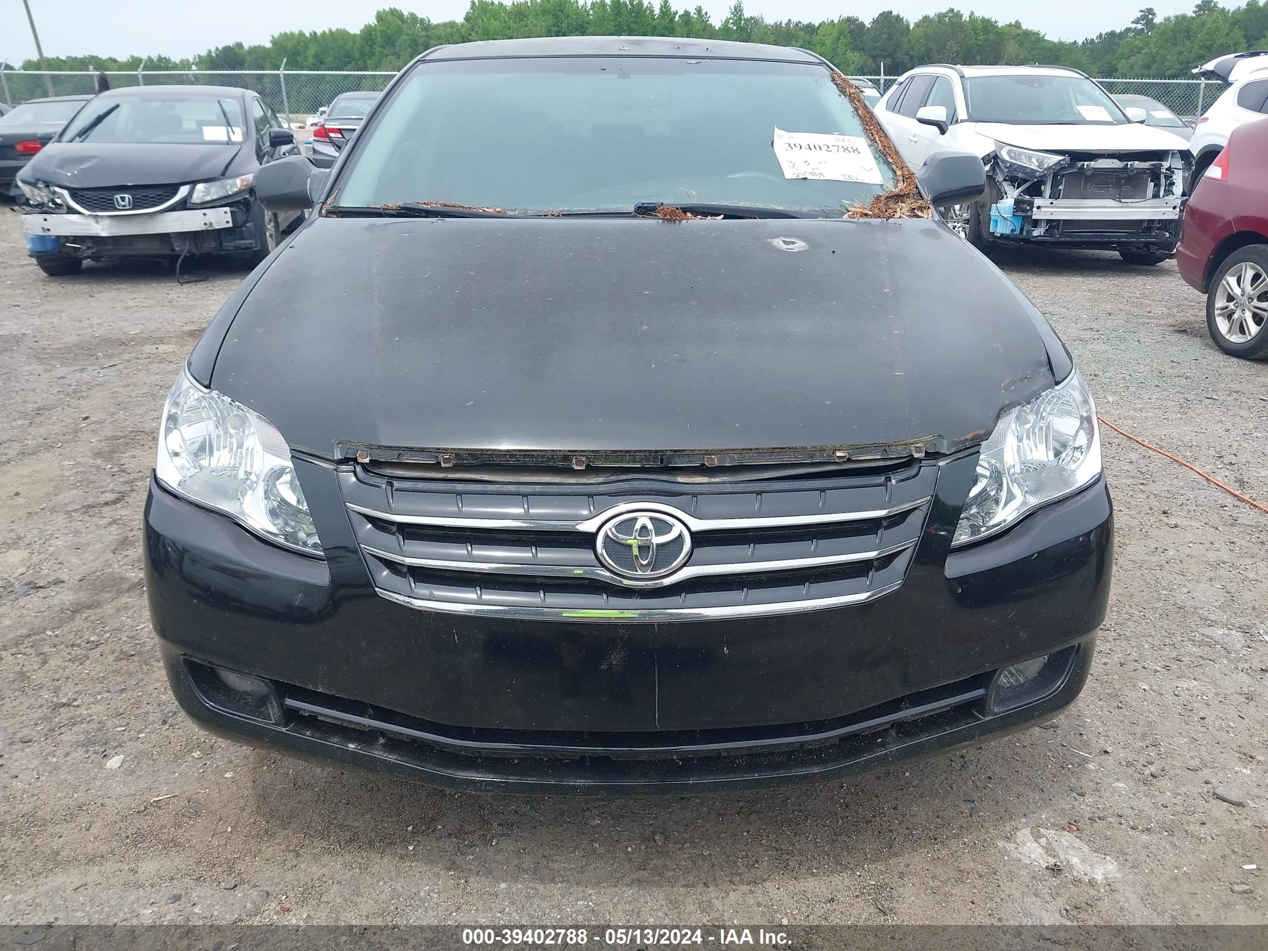 Photo 5 VIN: 4T1BK36B85U059631 - TOYOTA AVALON 