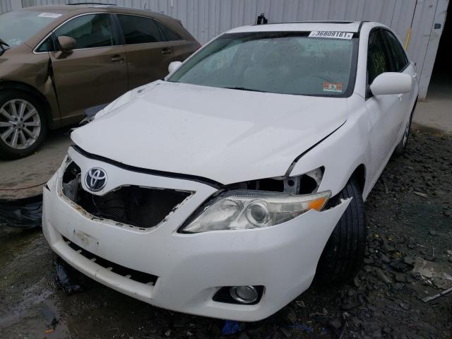 Photo 1 VIN: 4T1BK3EK0BU625441 - TOYOTA CAMRY SE 