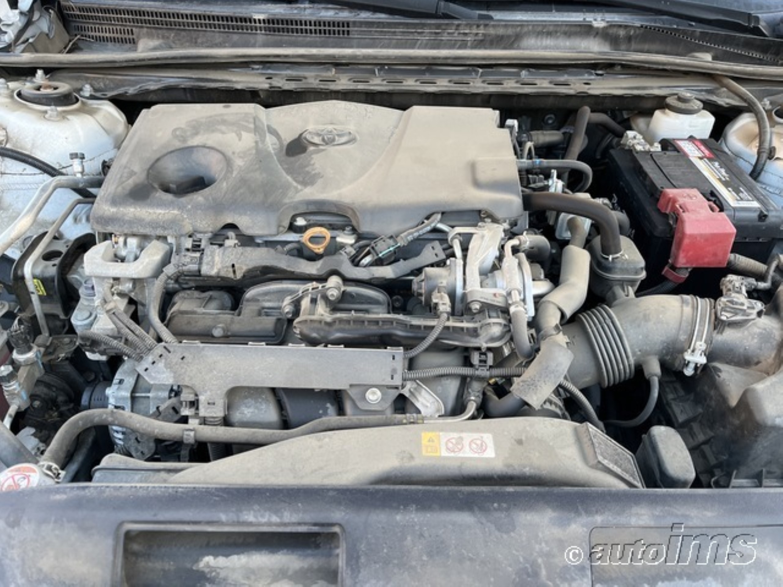 Photo 8 VIN: 4T1C11AK0LU307872 - TOYOTA CAMRY 