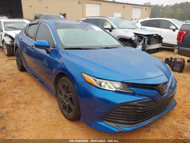 Photo 0 VIN: 4T1C11AK2LU312491 - TOYOTA CAMRY 