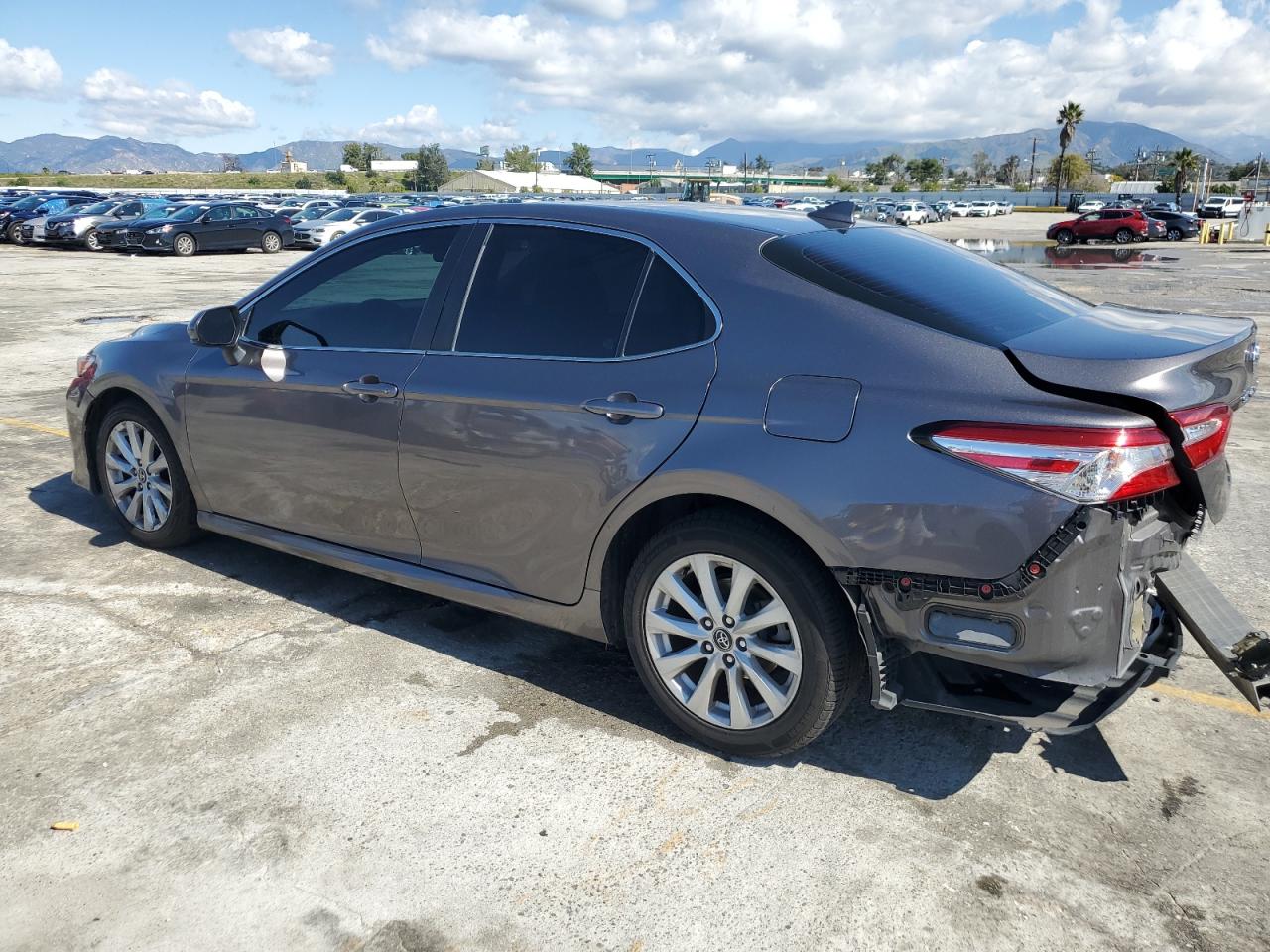 Photo 1 VIN: 4T1C11AK4LU331138 - TOYOTA CAMRY 