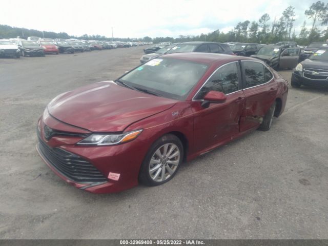 Photo 1 VIN: 4T1C11AK4LU980342 - TOYOTA CAMRY 