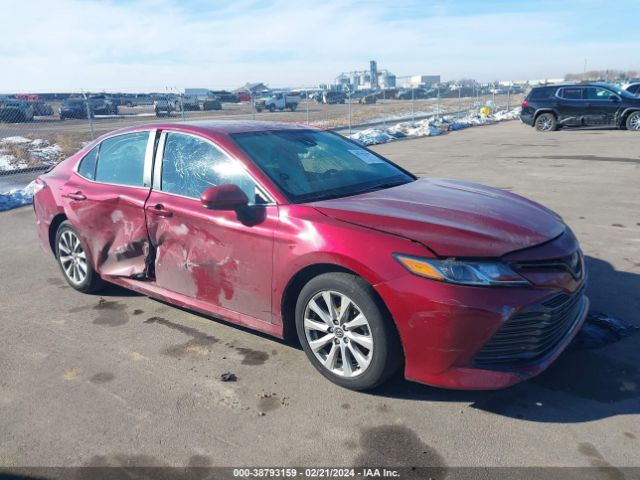 Photo 0 VIN: 4T1C11AK9LU315369 - TOYOTA CAMRY 